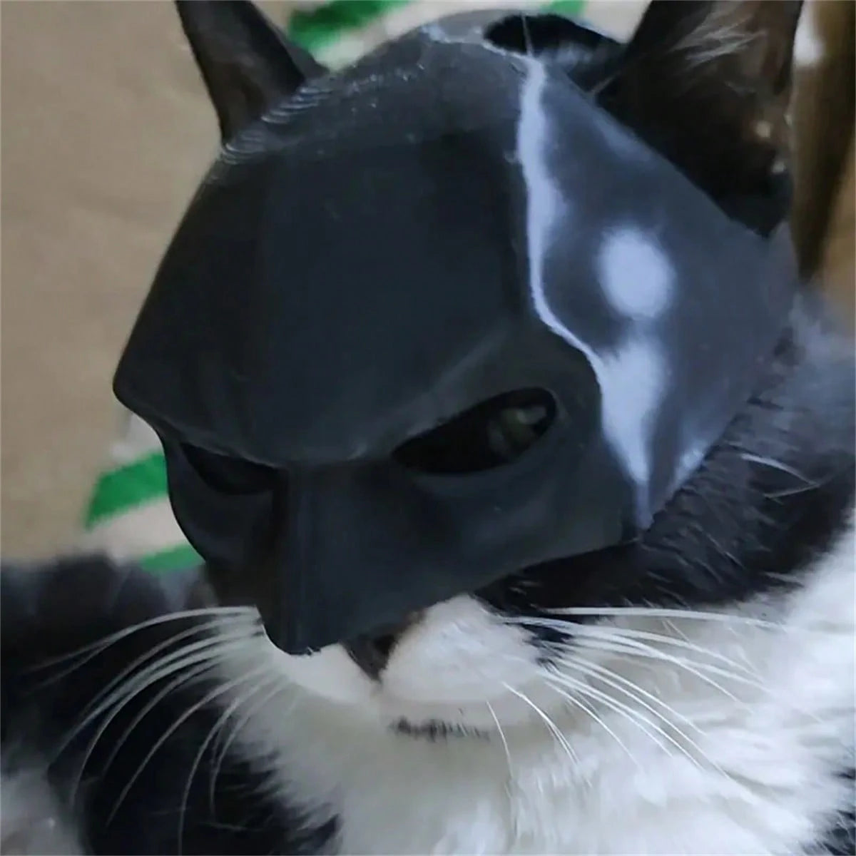 Cat- BATMAN MASK