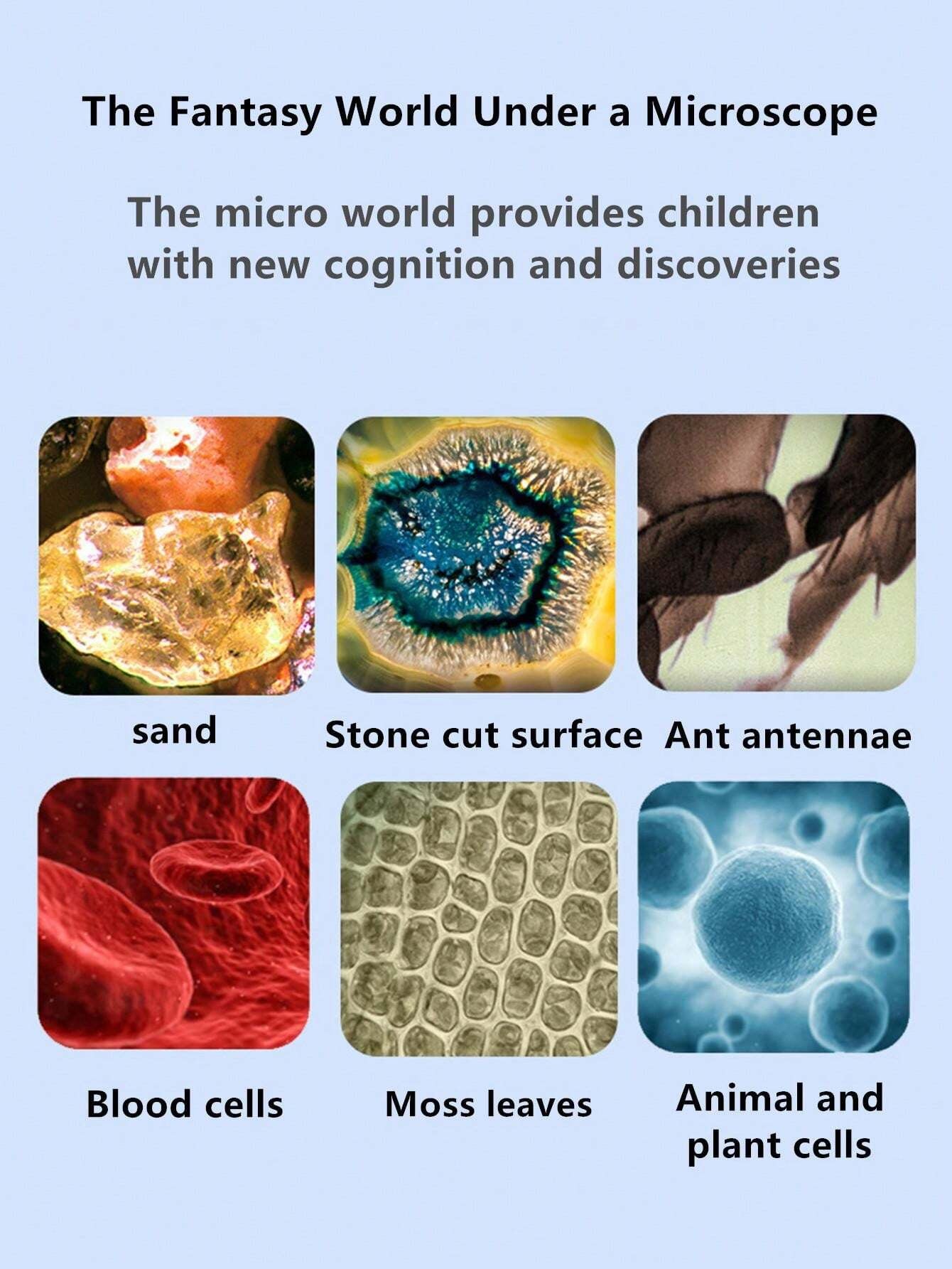 Portable Handheld Microscope