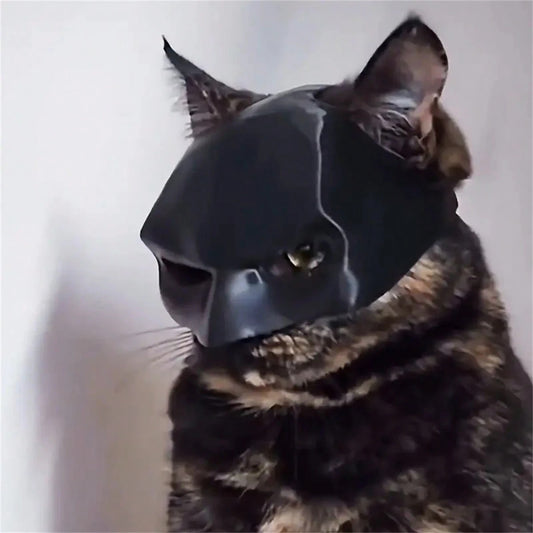 Cat- BATMAN MASK